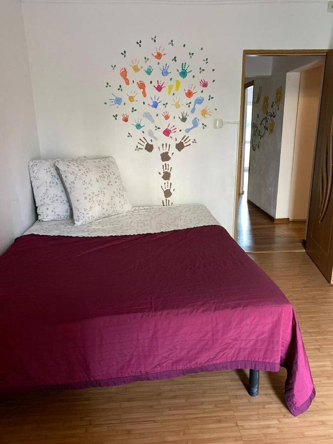 Mall Zone 100Mp Apartments Bacău Buitenkant foto